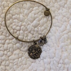 Alex and Ani Gold Tree of Life Bangle